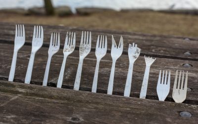 Il mondo di plastica